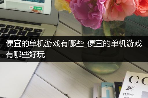 便宜的单机游戏有哪些_便宜的单机游戏有哪些好玩