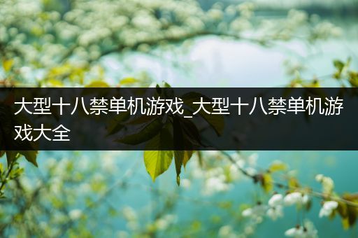 大型十八禁单机游戏_大型十八禁单机游戏大全