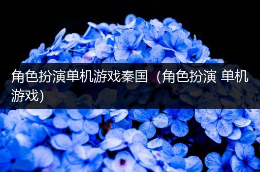 角色扮演单机游戏秦国（角色扮演 单机游戏）