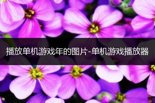 播放单机游戏年的图片-单机游戏播放器