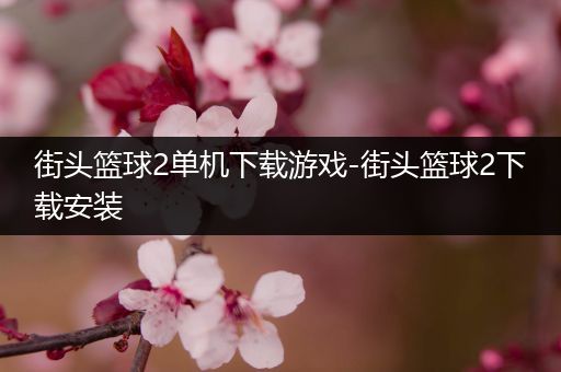 街头篮球2单机下载游戏-街头篮球2下载安装