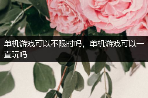 单机游戏可以不限时吗，单机游戏可以一直玩吗