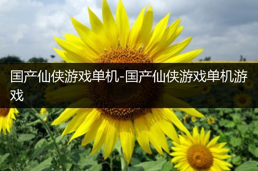 国产仙侠游戏单机-国产仙侠游戏单机游戏