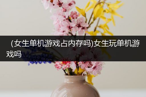 （女生单机游戏占内存吗)女生玩单机游戏吗