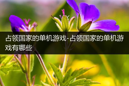 占领国家的单机游戏-占领国家的单机游戏有哪些