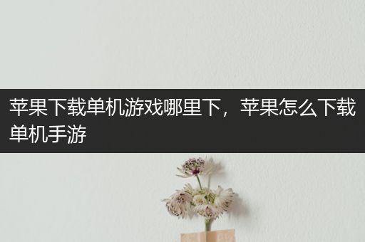 苹果下载单机游戏哪里下，苹果怎么下载单机手游