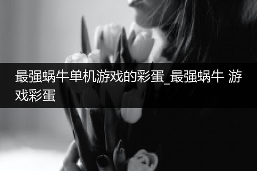最强蜗牛单机游戏的彩蛋_最强蜗牛 游戏彩蛋