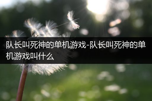 队长叫死神的单机游戏-队长叫死神的单机游戏叫什么