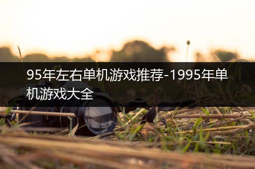 95年左右单机游戏推荐-1995年单机游戏大全