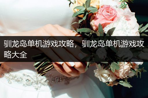 驯龙岛单机游戏攻略，驯龙岛单机游戏攻略大全