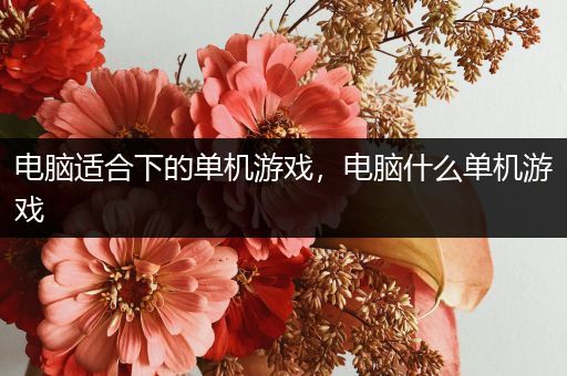 电脑适合下的单机游戏，电脑什么单机游戏