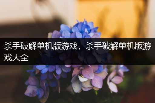 杀手破解单机版游戏，杀手破解单机版游戏大全