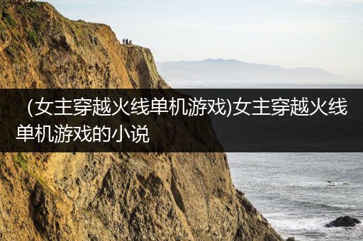 （女主穿越火线单机游戏)女主穿越火线单机游戏的小说