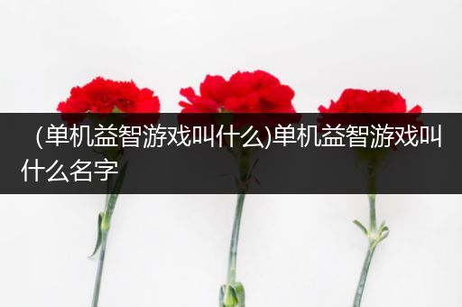 （单机益智游戏叫什么)单机益智游戏叫什么名字