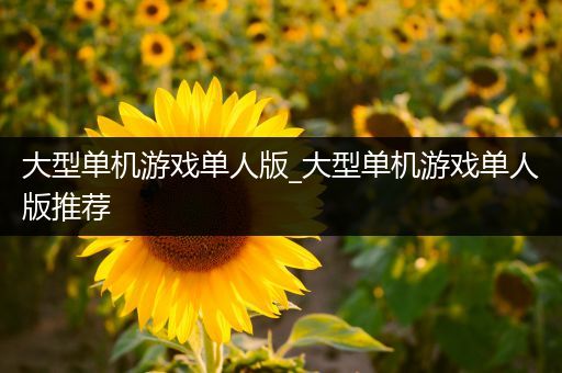 大型单机游戏单人版_大型单机游戏单人版推荐