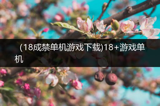 （18成禁单机游戏下载)18+游戏单机