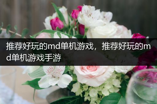 推荐好玩的md单机游戏，推荐好玩的md单机游戏手游