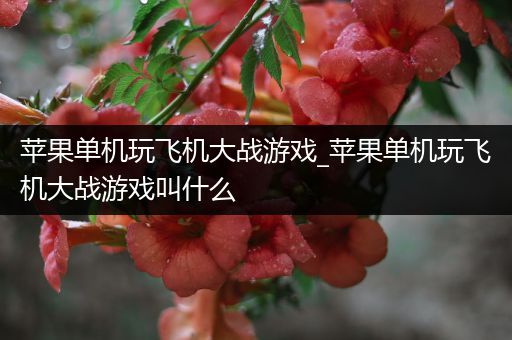 苹果单机玩飞机大战游戏_苹果单机玩飞机大战游戏叫什么