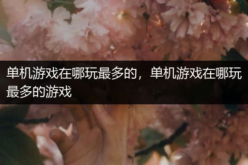 单机游戏在哪玩最多的，单机游戏在哪玩最多的游戏