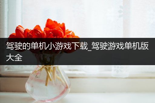 驾驶的单机小游戏下载_驾驶游戏单机版大全