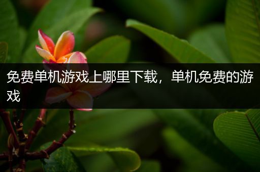 免费单机游戏上哪里下载，单机免费的游戏