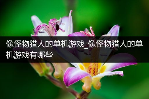 像怪物猎人的单机游戏_像怪物猎人的单机游戏有哪些