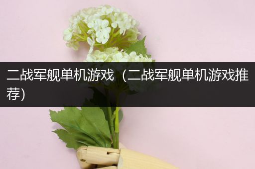 二战军舰单机游戏（二战军舰单机游戏推荐）