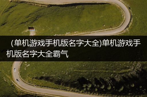 （单机游戏手机版名字大全)单机游戏手机版名字大全霸气