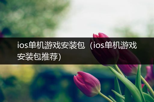 ios单机游戏安装包（ios单机游戏安装包推荐）