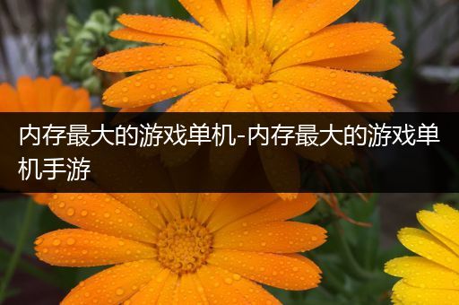 内存最大的游戏单机-内存最大的游戏单机手游