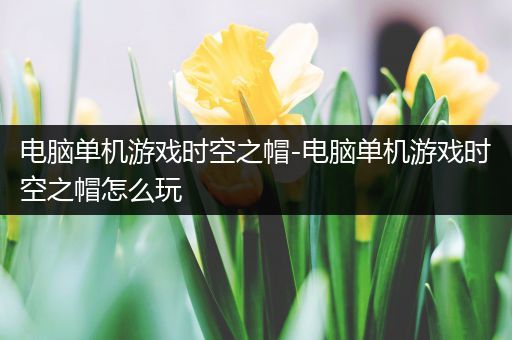 电脑单机游戏时空之帽-电脑单机游戏时空之帽怎么玩