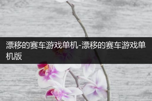 漂移的赛车游戏单机-漂移的赛车游戏单机版