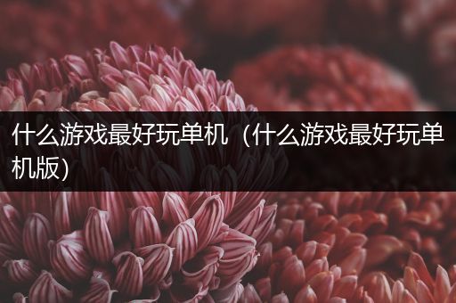 什么游戏最好玩单机（什么游戏最好玩单机版）