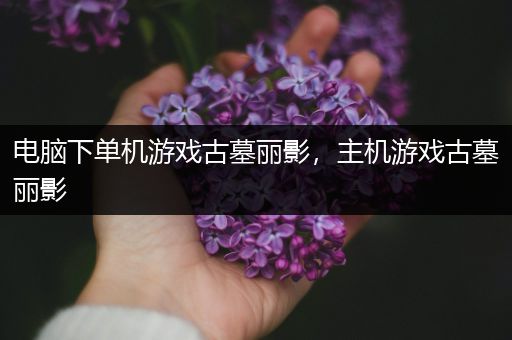 电脑下单机游戏古墓丽影，主机游戏古墓丽影