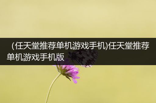 （任天堂推荐单机游戏手机)任天堂推荐单机游戏手机版