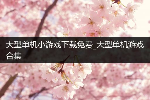 大型单机小游戏下载免费_大型单机游戏合集