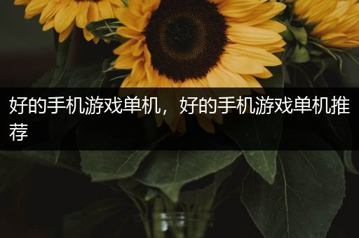 好的手机游戏单机，好的手机游戏单机推荐
