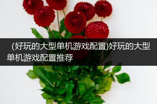 （好玩的大型单机游戏配置)好玩的大型单机游戏配置推荐