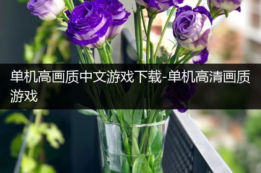 单机高画质中文游戏下载-单机高清画质游戏