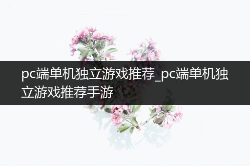 pc端单机独立游戏推荐_pc端单机独立游戏推荐手游