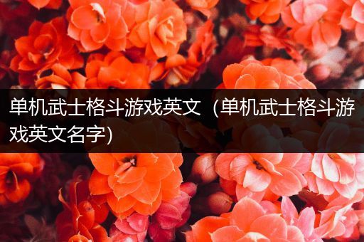 单机武士格斗游戏英文（单机武士格斗游戏英文名字）