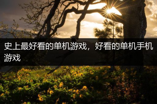 史上最好看的单机游戏，好看的单机手机游戏