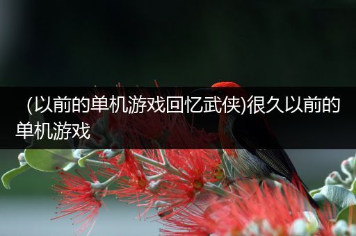 （以前的单机游戏回忆武侠)很久以前的单机游戏