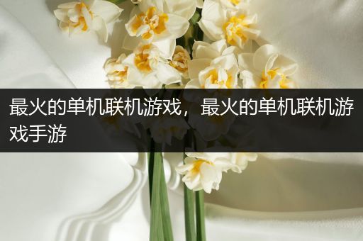 最火的单机联机游戏，最火的单机联机游戏手游