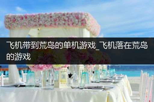 飞机带到荒岛的单机游戏_飞机落在荒岛的游戏