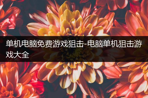 单机电脑免费游戏狙击-电脑单机狙击游戏大全