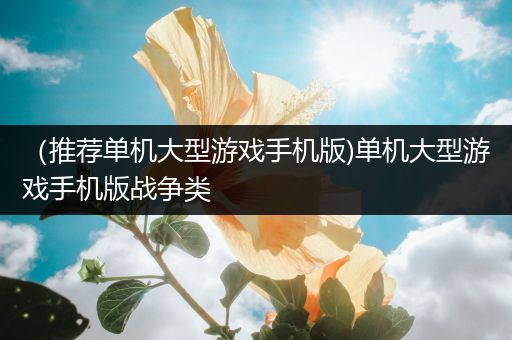 （推荐单机大型游戏手机版)单机大型游戏手机版战争类