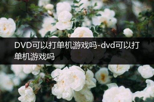 DVD可以打单机游戏吗-dvd可以打单机游戏吗
