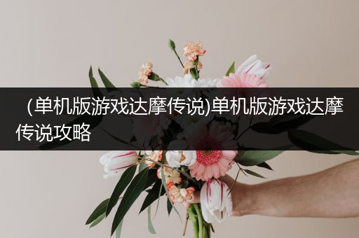（单机版游戏达摩传说)单机版游戏达摩传说攻略