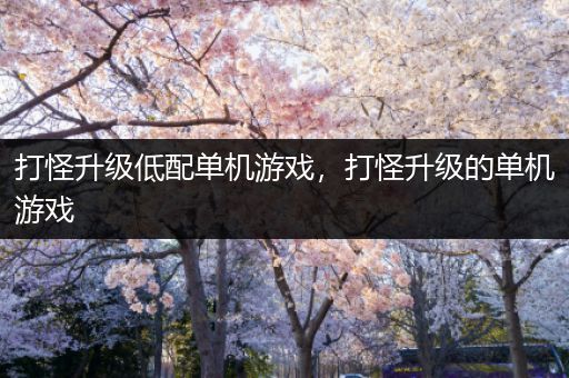 打怪升级低配单机游戏，打怪升级的单机游戏